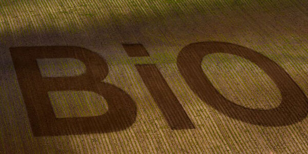 quels-sont-les-avantages-de-l-agriculture-biologique